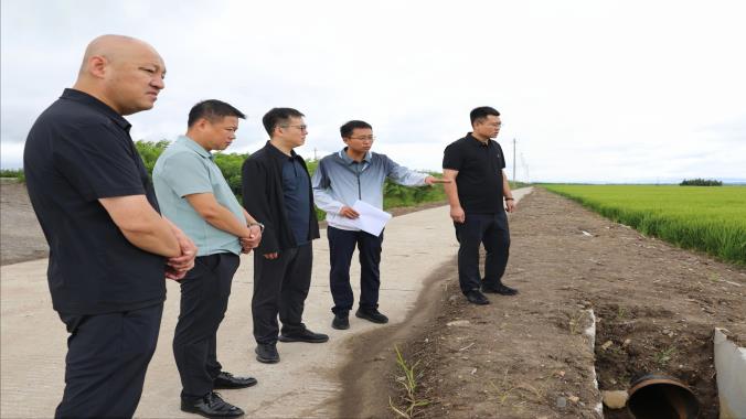郑树一调研乡村振兴及高标准农田建设工作